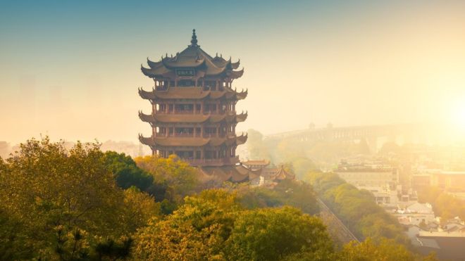 Misteri Virus Perusak Paru-paru dari China: Haruskah Kita Sangat Khawatir?
