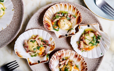 5 Manfaat Scallop, Seafood Kenyal yang Kaya Protein