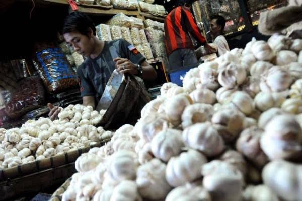 Pemprov Jambi Minta 8 Ton Bawang Putih untuk Operasi Pasar