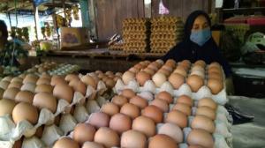 Imbas Corona, Harga Telur Ayam di Sumsel Anjlok
