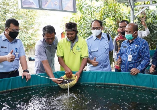 Di Kotamobagu, KKP Serahkan Bantuan Unit Percontohan Penyuluhan Budidaya Lele Bioflok