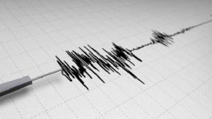 Maluku Barat Daya Digucang Gempa Magnitudo 5,0