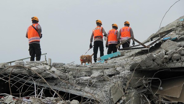 Gempa Sulbar: 81 Orang Tewas, Pengungsi Akan Dites Rapid Antigen