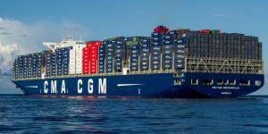 CMA CGM gelar Reboisasi di 12 negara : Tanam 25 ribu pohon Bakau di Bali