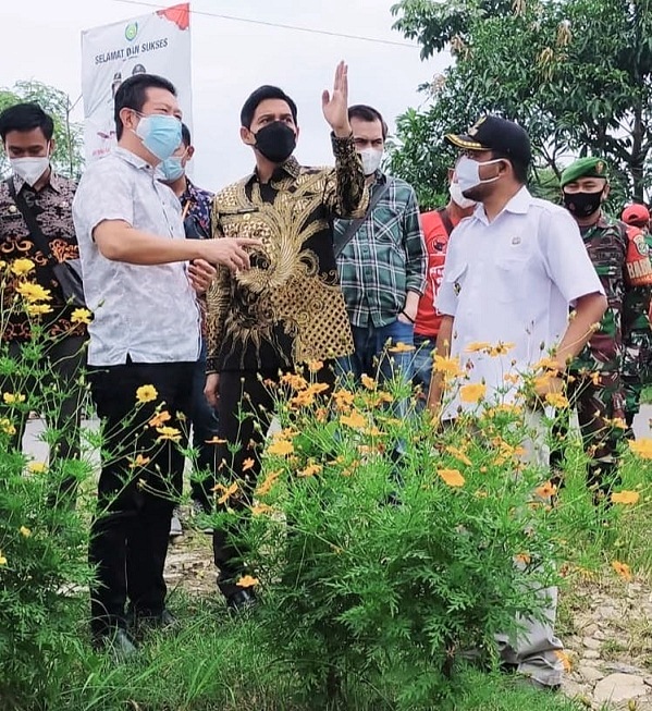 Pisang Candevish Bakal Dibudidayakan di Desa Cangkingan