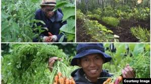 Ini Dia Diaspora Indonesia Sukses Bertani di Amerika