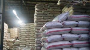 Kepala Daerah Hingga Anggota Dewan Tolak Rencana Impor Beras