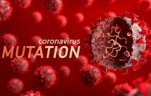 Kronologi Penemuan Varian Virus Corona E484K di Jakarta