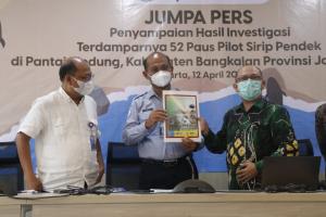 KKP Ungkap Penyebab Puluhan Paus Terdampar di Madura: Gangguan Pernapasan Ikan