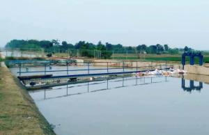 Pemda Indramayu Akhiri Kecemasan Petani yang Terancam Gagal Panen Padi