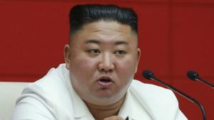Kim Jong-un Musnahkan Kucing dan Merpati demi Cegah Corona
