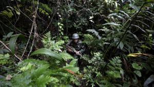 14 Warga PNG Ditangkap di Papua, Petugas TNI Temukan Amunisi Aktif