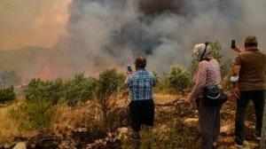 Kebakaran Hutan Besar-besaran Landa Turki, 3 Orang Tewas
