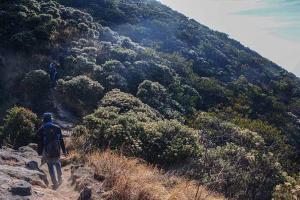 Pendakian Gunung Ciremai Melalui Kuningan Buka Lagi, Kuota Dibatasi 25%