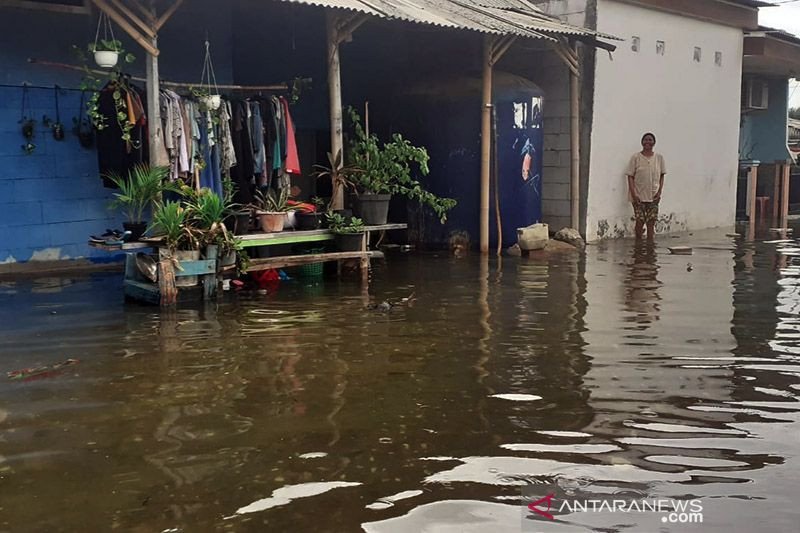 Ribuan Rumah Di Tangerang Terendam Banjir Rob Minggu