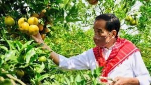 Tepis Isu Perpanjangan, Presiden Jokowi Akan Tunjuk ASN Jadi Pj Kepala Daerah