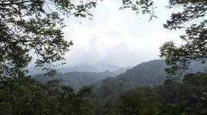SK Menteri LHK Berujung Konflik Lahan dan Gelombang Protes di Daerah