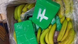 Salah Kirim Paket, Geng Narkoba Kirim Kokain Rp1,2 Triliun ke Supermarket Ceko