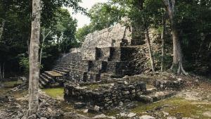 Wow! Kota Kuno Suku Maya Ditemukan di Tengah Hutan, Ada Pasar dan Kuil 