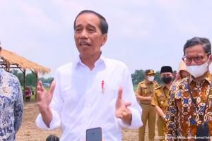 Kejar Swasembada Gula, Jokowi Akan Siapkan 700 Ribu Hektar Lahan untuk Budidaya Tebu