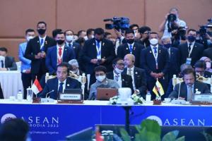 Presiden Jokowi: ASEAN-India Harus Jadi Guardian bagi Stabilitas di Indo-Pasifik