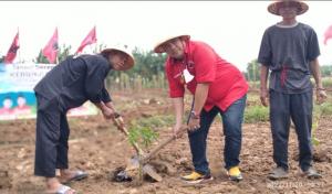 Tanam Serentak Kebun Rakyat PDIP Se-Jawa Barat untuk Perkuat Ketahanan Pangan