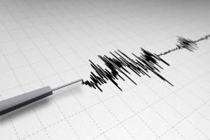 BMKG Sebut Gempa M5,2 di Karangasem Bali Dipicu Sesar Naik Flores
