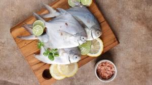 Ini 7 Ikan yang Tidak Boleh Dikonsumsi oleh Penderita Kolesterol 