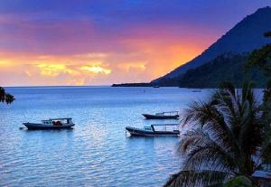 Gempa Bermagnitudo 7,1 Guncang Kepulauan Talaud Sulut