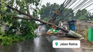 Hujan Disertai Angin Kencang di Bekasi, 6 Pohon Tumbang 