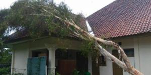 Hujan Deras Guyur Klaten Semalaman, Pohon Tumbang dan 2 Rumah Warga Roboh