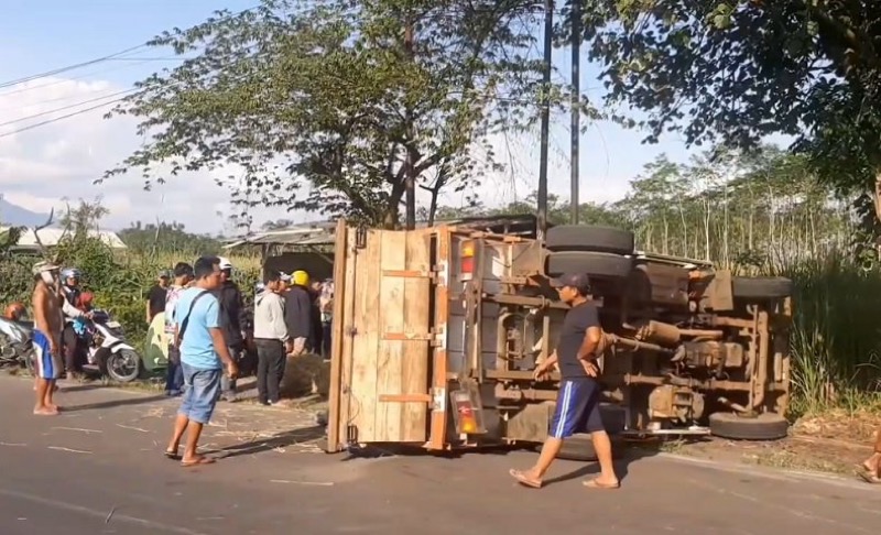 Gegara Hindari Jalan Berlubang, Truk Angkut 20 Orang Teguling di Lumajang