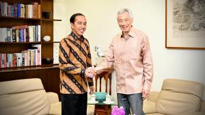 Poin Penting Pertemuan Presiden Jokowi dan PM Singapura, Ada soal IKN Nusantara
