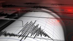 Gempa M 7,8 Guncang Pasifik Selatan, Picu Peringatan Tsunami