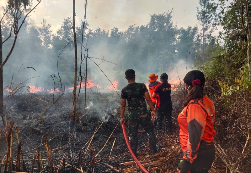 Petugas Gabungan Berhasil Padamkan 26 Lahan Terbakar di Barito Selatan