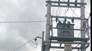 Kabel PLN Hilang Dicuri di 3 Kecamatan Ponorogo Jatim, Ribuan Pelanggan Jadi Korban