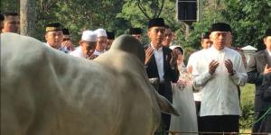 Presiden Jokowi Akan Rayakan Idul Adha 2023 di Yogyakarta