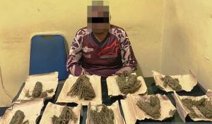 Polisi Tangkap Seorang Pengedar 9 Bungkus Ganja di Aceh Barat