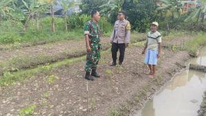 Bhabinkamtibmas Mustika Jaya Dampingi Program Ketahanan Pangan, Sinergi Polri dan Petani Wujudkan Bekasi Mandiri Pangan