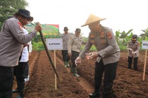 Polres Metro Bekasi Kota Gelar Penanaman Jagung Serentak, Dukung Ketahanan Pangan Nasional