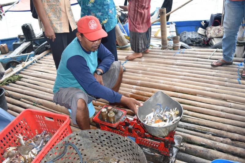 KKP Terbitkan Petunjuk Tenis Permudah Pelaku Usaha Ekspor Rajungan Indonesia ke AS