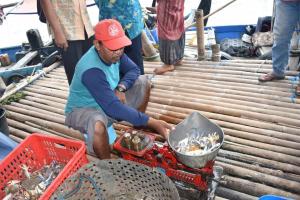 KKP Terbitkan Petunjuk Tenis Permudah Pelaku Usaha Ekspor Rajungan Indonesia ke AS